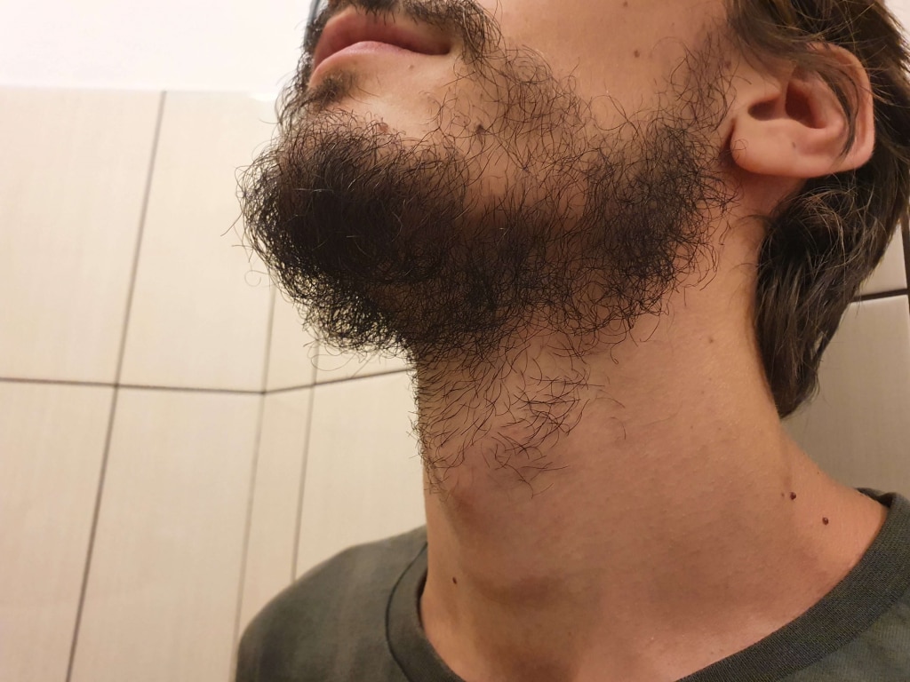 Jak si OneBlade poradí s hustěji zarostlou bradou?
