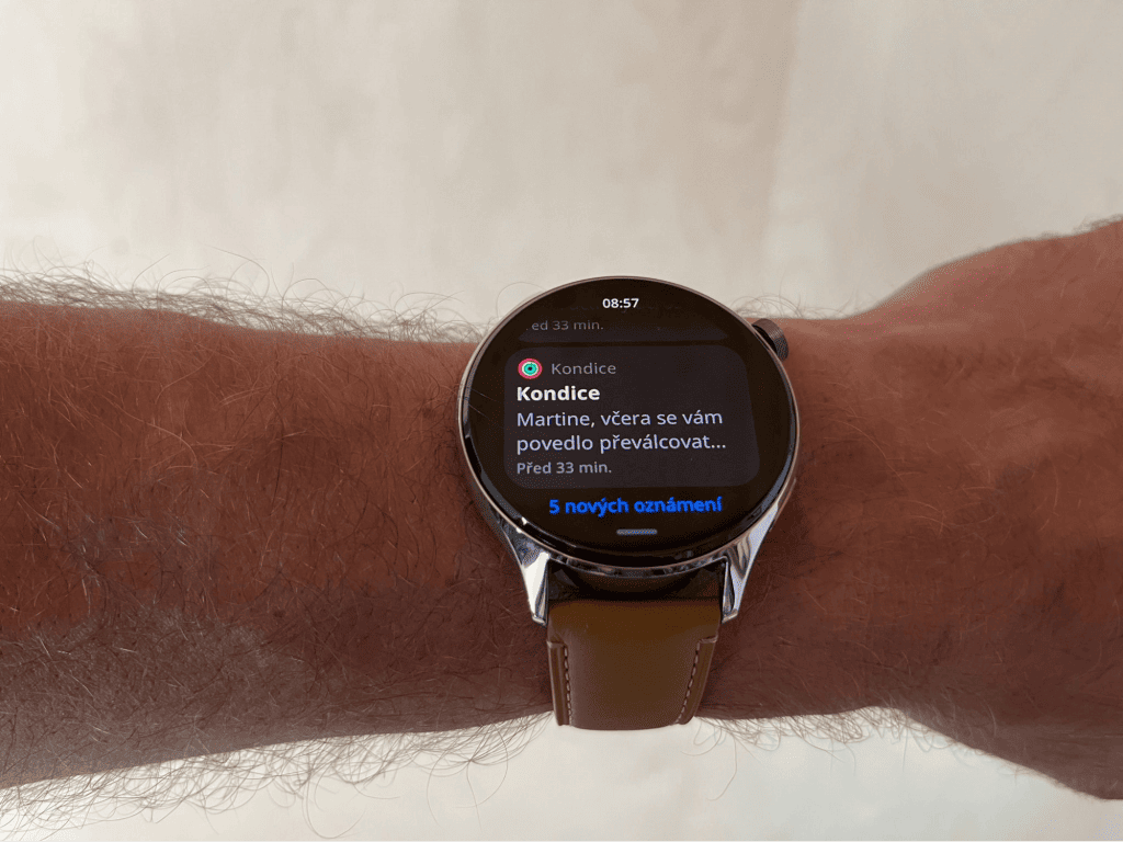V hodinkách najdete notifikace z telefonu