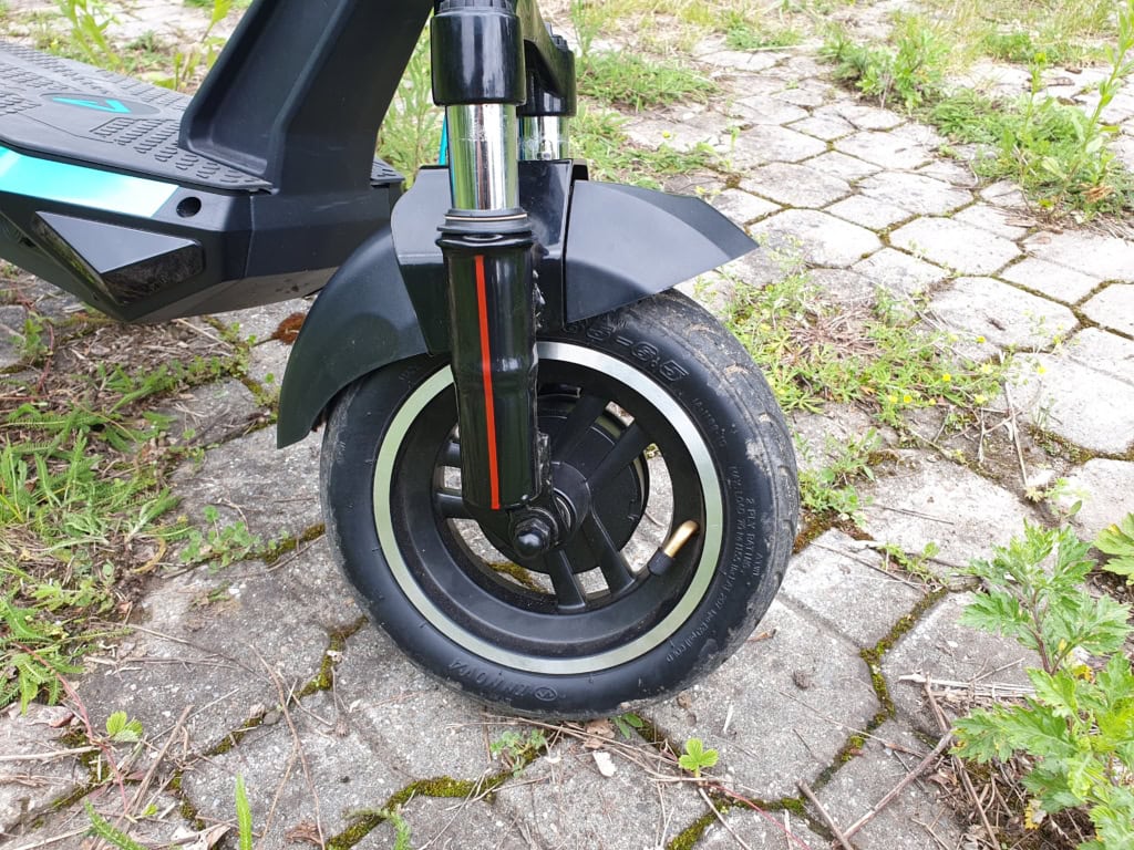 Blatníky jsou masivní a spolehlivé