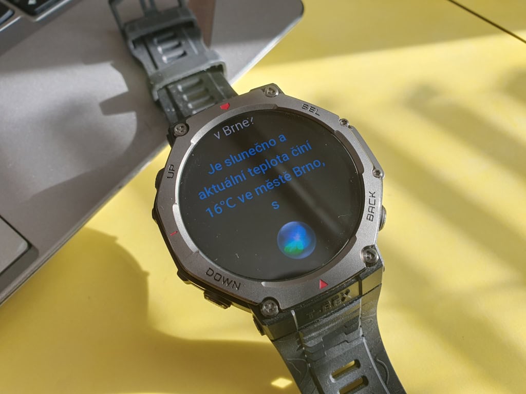 Odpověď v češtině
