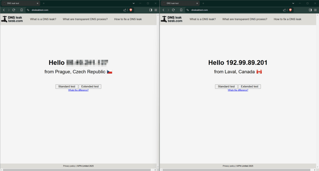 Test úniku DNS informací