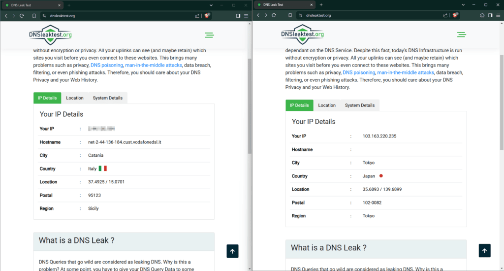 Test na únik DNS informací