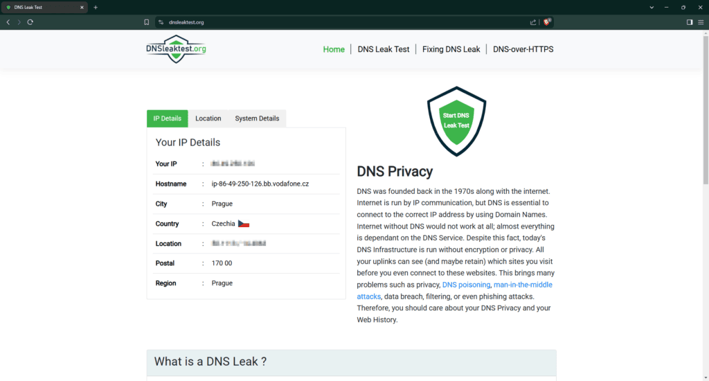 DNS leak test
