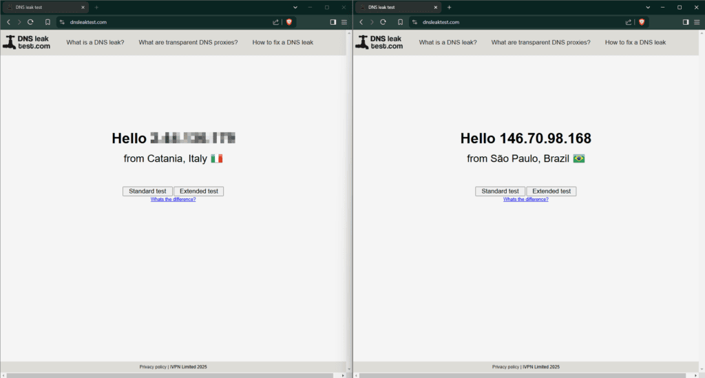Test úniku DNS informací