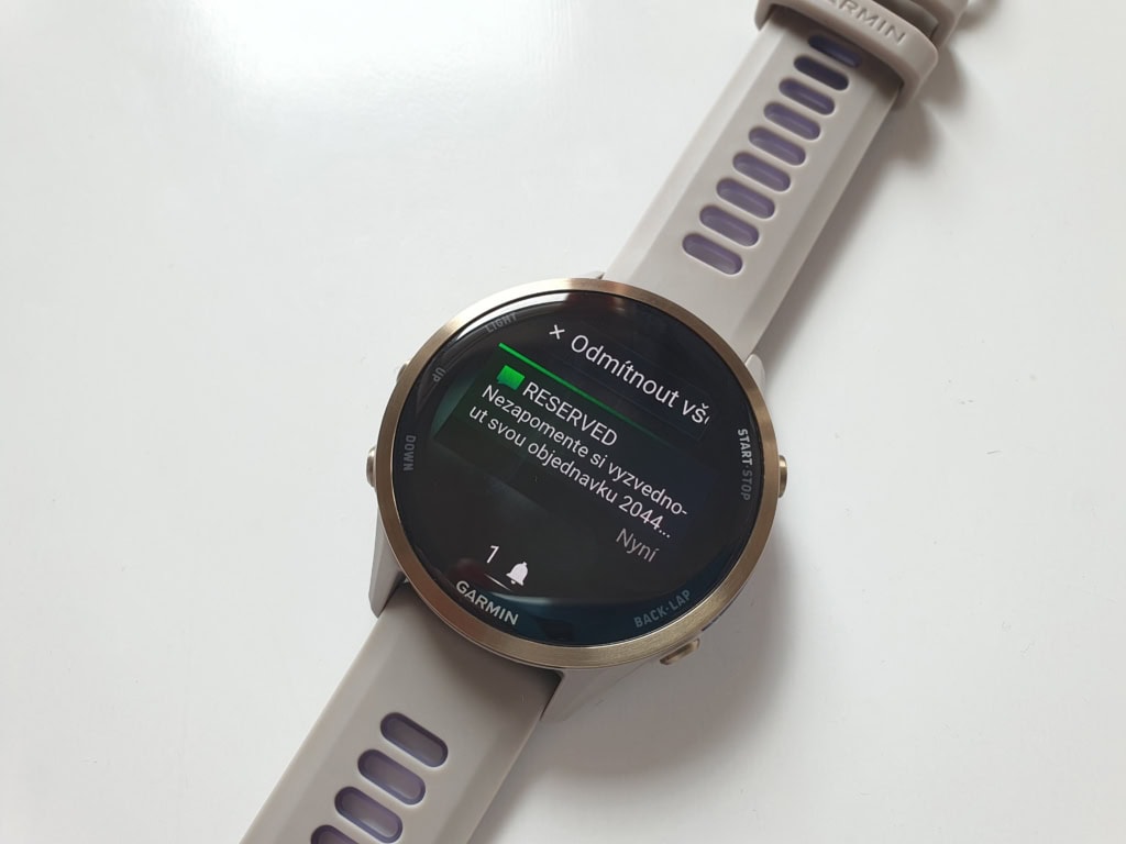 Notifikace