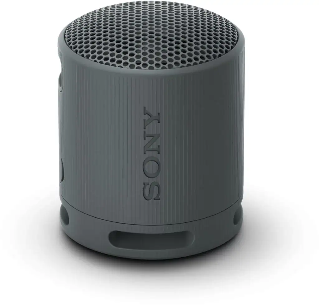 Sony SRS-XB100 (Foto: Oficiální materiály distirbutora)