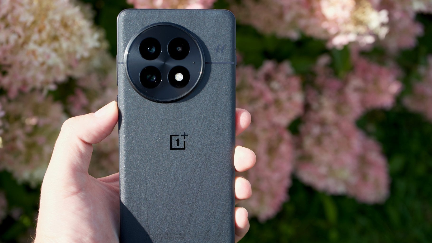 Skončí OnePlus s telefony? Hroby LG a Asusu čekají na společnost