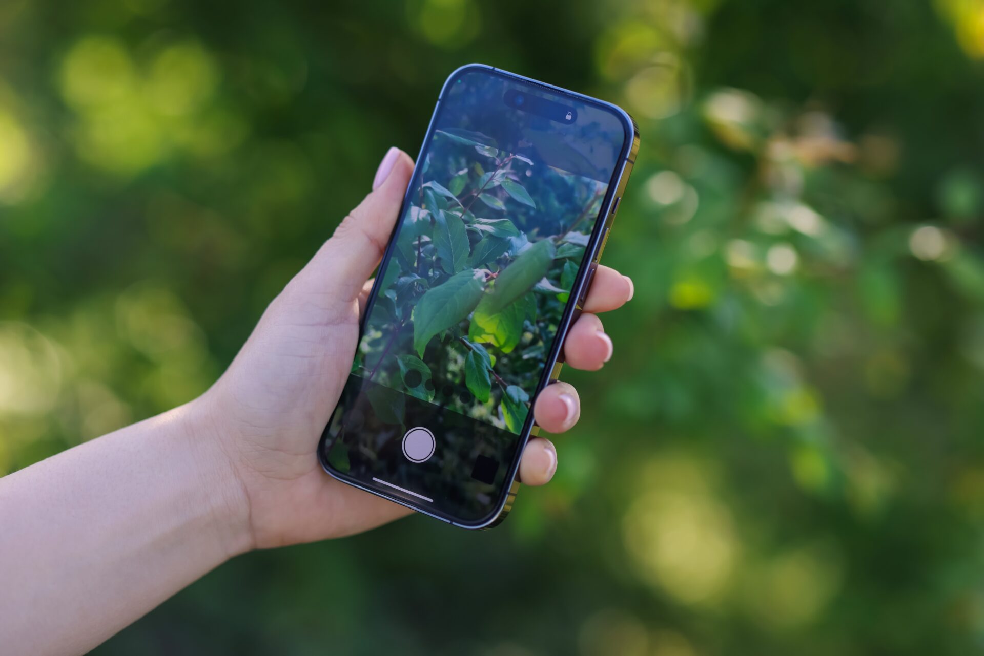 3 nejhorší fotomobily dle DXOMARK (2026): Propadly Alcatel 1S i Wiko Y62, na dně skončila i Motorola